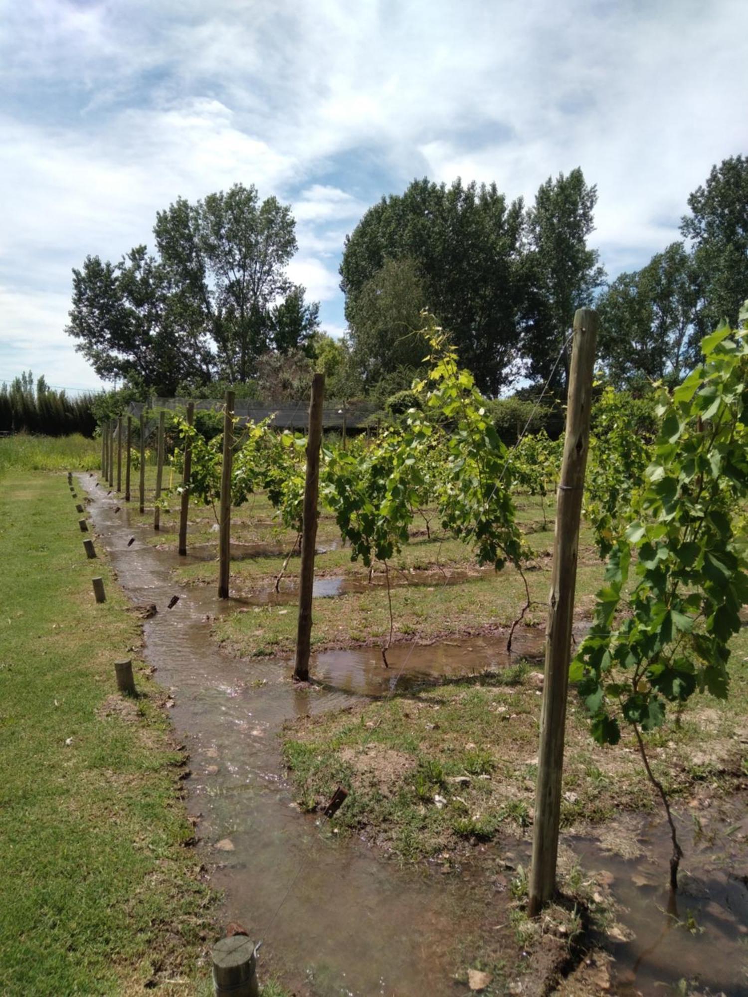 La Matera Posada De Campo San Rafael  Eksteriør bilde