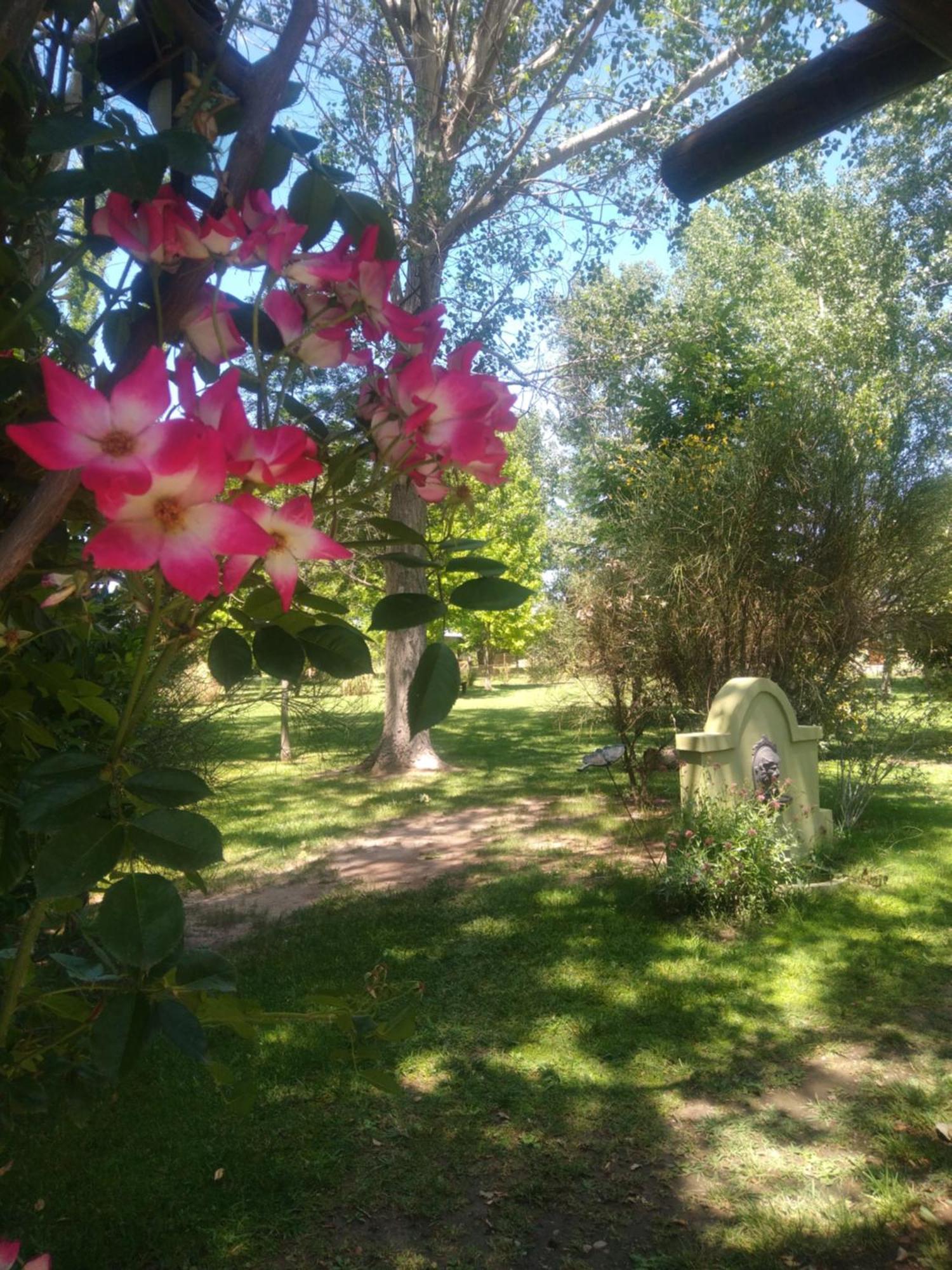 La Matera Posada De Campo San Rafael  Eksteriør bilde